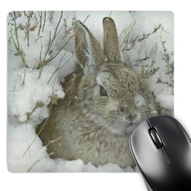 Imagem de 3dRose Mouse pad LLC 20 x 20 x 0,63 cm, Snow Bunny (mp_34742_1)