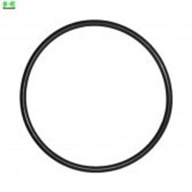 Imagem de Anel oringinal de vedacao carcaça filtro 9' oc: planeta agua