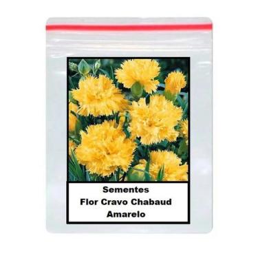Imagem de 50 Sementes De Flor Cravo Chabaud Amarelo - ISLA