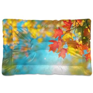 Imagem de Wassud Cama para cachorro outono céu grande cama para cães ao ar livre tapete lavável para animais de estimação cama gato cama para dormir viagem 91 cm x 61 cm