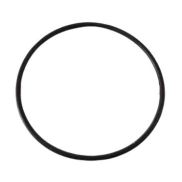 Imagem de Anel Vedação Filtro Aqualar Bella Fonte 3m Cuno Acqua PN555 - OR1237