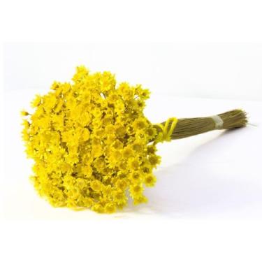 Imagem de Planta Seca Sempre Viva Amarelo 30cm - Pense Flores