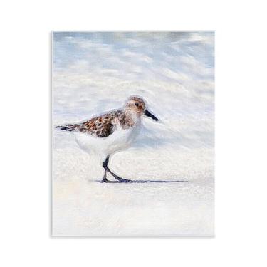 Imagem de Stupell Industries Blue Coast Sandpiper Painting Wall Plaque Art Design por Denise Brown, 11 x 14