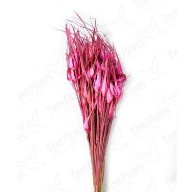 Imagem de Capim Estrela Flor Desidratada Buque Flores Secas - Pense Flores, Pink