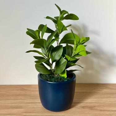 Imagem de Clusia Artificial em Vaso Cerâmico, Folhagem Verde Decorativa com Vaso Azul Marinho, Planta Artificial para Decoração de Casa e Escritório