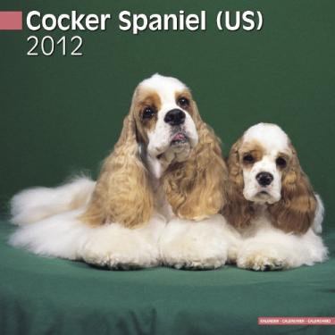Imagem de Cocker Spaniel (US) 2012 Calendar #10093-12