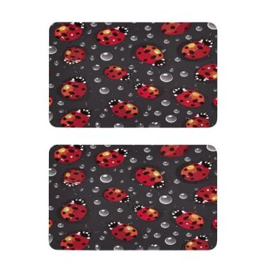 Imagem de Blueangle Conjunto de 2 ímãs de geladeira Red Ladybugs - Ímãs de geladeira decorativos engraçados - Seguro para lava-louças e decoração magnética durável (536)