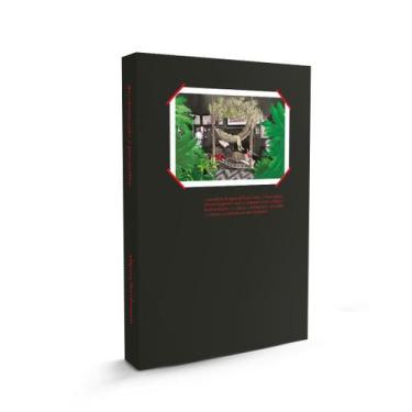 Imagem de Livro - A psicanálise em elipse decolonial