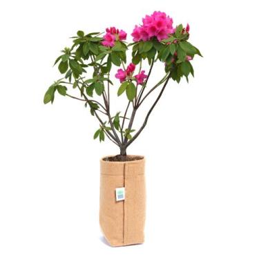 Imagem de 10 Vasos de Plantas e Suculentas 1 Litro - King Pot, Caramelo