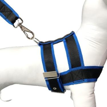 Imagem de Conjunto Peitoral Com Guia De Nylon Duplo Especial Resistente Para Cachorro Cão Grande Porte (Azul,6)