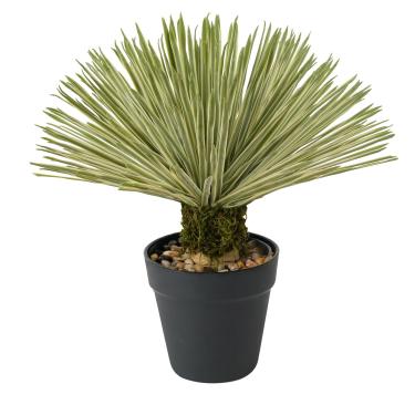 Imagem de Velener Planta de agave artificial em vaso preto com pedras reais, plantas falsas grandes com musgo verde falso, mandioca falsa com folhas longas em forma de espada para uso interno/externo - 38 cm de