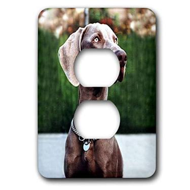 Imagem de 3dRose Lsp_1095_6 Weimaraner 2 tampas de tomada