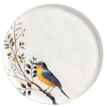 Imagem de Prato raso 1231127701 bio birdy porto brasil, BCOESTAMPADO