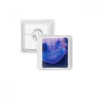 Imagem de Jellyfish Marine Organism Tropical Sea Keycap Kit de atualização para jogos PBT