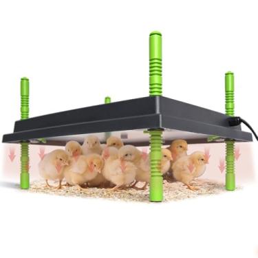 Imagem de Shaledig Placa de aquecimento para chocadeira de pintinhos, aquecedor de chocadeira de galinha de 30 cm x 40 cm com visor ajustável de altura e temperatura para pintinhos e patinhos, placa de chocadeira de 30 W para até 40 pintinhos, quente como mãe galinha (verde)