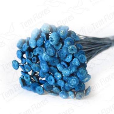Imagem de Botão Branco Desidratado Variações - Pense Flores, Azul Turqueza