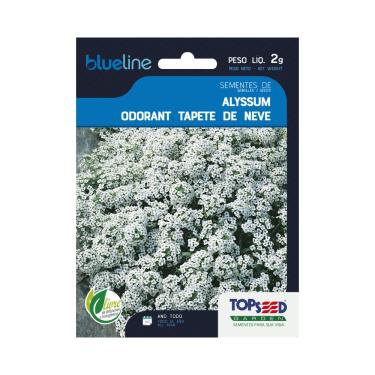 Imagem de Sementes de Alyssum Odorant Tapete de Neve, Flores Brancas, 2g