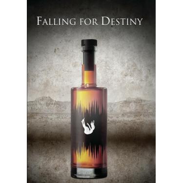 Imagem de FALLING FOR DESTINY