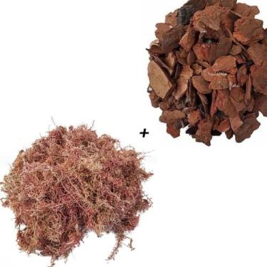 Imagem de Kit 10 Litros Musgo + 10 Litros Casca De Pinus C/ Carvão - orquiflora