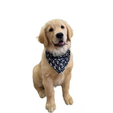 Imagem de Bandana Pet Shop G 30 Unidades Macho E Femea - Dilucca Assessório Pet