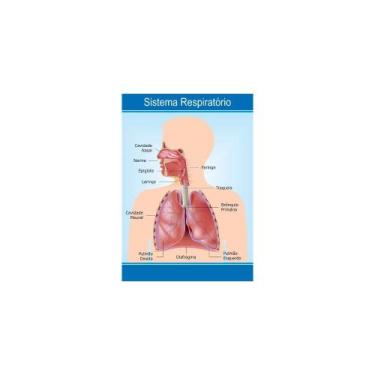 Imagem de Painel De Lona Escolar Sistema Respiratório -100x070cm - Fabrika de Fe