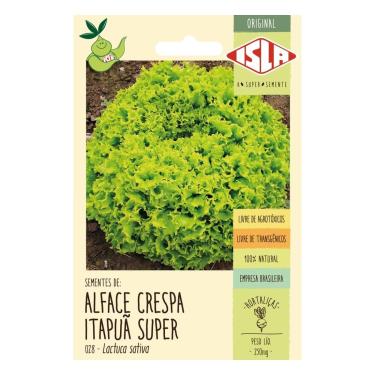 Imagem de Kit Semente de Alface Itapuã Super 0,25g + Jiló Tinguá Verde Claro 0,25g