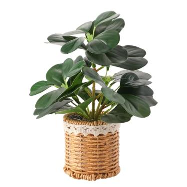 Imagem de Nubry Plantas falsas em vasos artificiais com vaso trançado para prateleira e mesa | Perfeito para decoração de mesa de centro de 25 cm