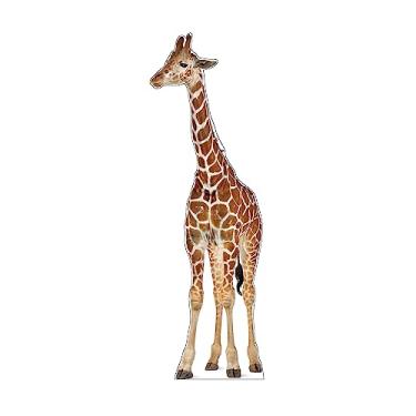 Imagem de MAMMA Kiddie Recorte De Papelão Em Tamanho Real, À Prova D'Água, Animais - Girafa