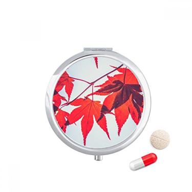 Imagem de Caixa de armazenamento de medicamentos com folhas de bordo vermelhas para plantas e natureza