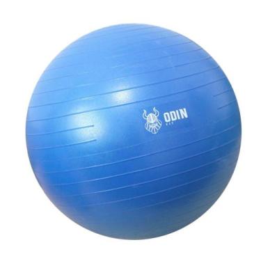 Imagem de Bola De Ginástica Suíça 55cm Azul - Odin Fit