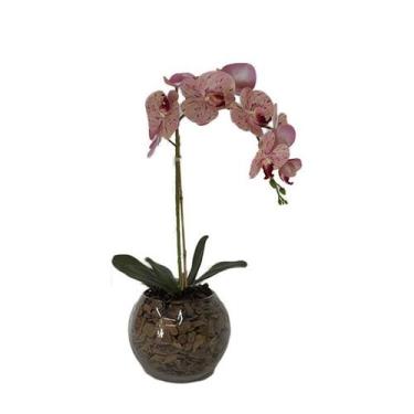 Imagem de Orquídea Pêssego x1 Vaso Aquário - Biofil
