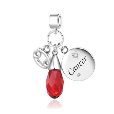 Imagem de MiiFort Pingentes brilhantes do signo do zodíaco para pulseiras Pandora Charms Moments, One Size, Cobre, Sem Pedra Preciosa