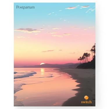 Imagem de Switch Research Diário pós-parto - Planejador diário de gravidez 2023 e suporte para mães de primeira viagem