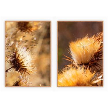 Imagem de Kit Com 2 Quadros Decorativos Dente De Leão Com Moldura Para Sala Quarto Escritório 67x92 Floral 006