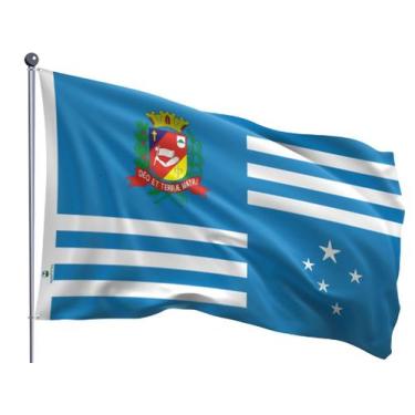 Imagem de Bandeira do Município de Assis Dupla Face Estampada Tamanho 90x128cm -
