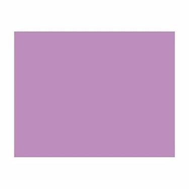 Imagem de Placa Eva Liso Lilás 48x40 458 Eduart