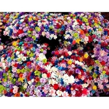 Imagem de SEMPRE VIVAS FLORZINHAS DESIDRATADAS PARA LEMBRANCINHAS ARRANJOS DE MESA CASAMENTOS MAÇO ORGANIZADO(BUQUÊ MISTO)