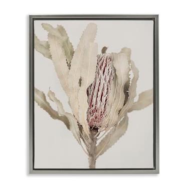 Imagem de Stupell Industries Arte de parede em tela flutuante em ouro com bordas botânicas de Banksia ocultas, design de Sisi e Seb, 53 x 43 cm