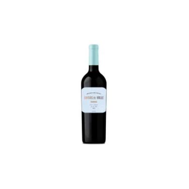 Imagem de Vinho Tinto Brisas Del Vale Carmenére 2023 750ml - Cremaschi-Furlotti