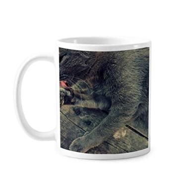 Imagem de Caneca com foto de gato cinza com estampa de animal, xícara de cerâmica e porcelana de café