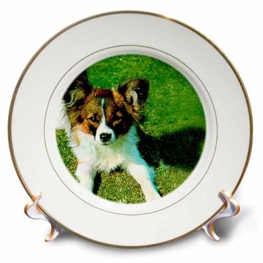 Imagem de 3dRose Papillon - Prato de porcelana, 20,32 cm, 20,32 cm, branco