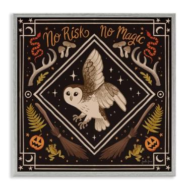 Imagem de Stupell Industries No Risks or Magic Owl Gray Framed Giclee Art Design por Janelle Penner, 12 x 12