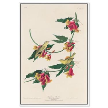 Imagem de Art Remedy Tela de impressão botânica, 25,4 cm x 38,1 cm, moldura branca, toutinegra de espinha dorsal 1829