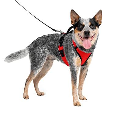 Imagem de PetSafe Peitoral para cães EasySport, peitoral ajustável acolchoado para cães com alça de controle e tubulação reflexiva