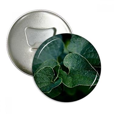 Imagem de Imagem de planta de folha escura, abridor de garrafas, ímã de geladeira, emblema multifuncional