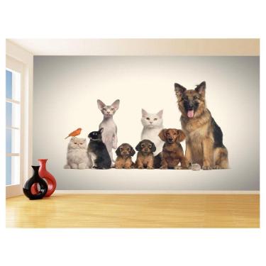 Imagem de Papel De Parede 3D Animais Cão Gato Petshop 3,5M Anm422