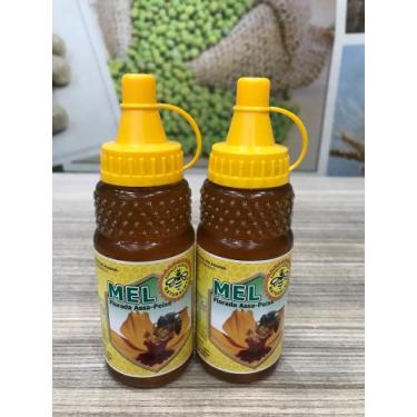 Imagem de Mel assa peixe 280 Gramas - 2 unidades - Natural Mix