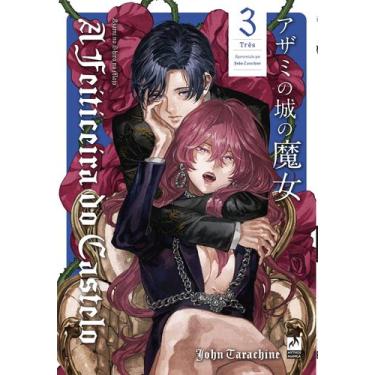 Imagem de Livro - A feiticeira do castelo 3 (de 4)