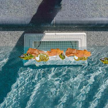 Imagem de 2 peças de proteção de escumadeira, rede de proteção de folhas de aço inoxidável atualizada 2025 para piscina de fibra de vidro revestida de vinil no solo ou acima do solo (20 x 40 cm, serve para