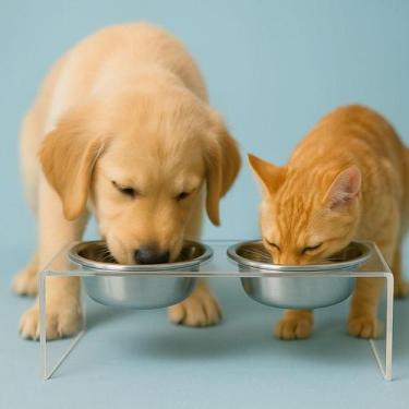 Imagem de Comedouro Elevado Duplo Para Cachorro Gato Cães Pet Tigela inox Bebedo